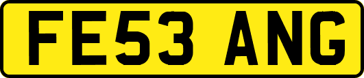 FE53ANG