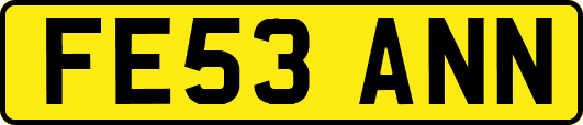 FE53ANN