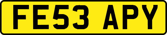 FE53APY
