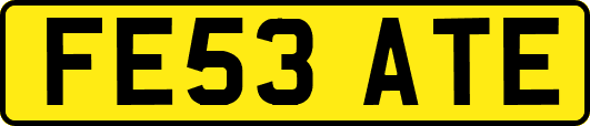 FE53ATE