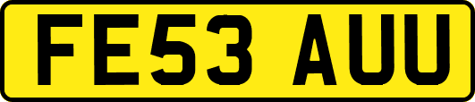 FE53AUU
