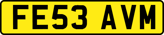 FE53AVM