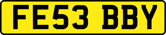 FE53BBY