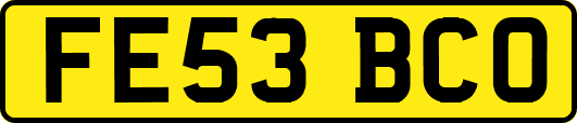 FE53BCO