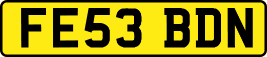 FE53BDN