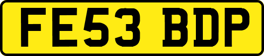 FE53BDP