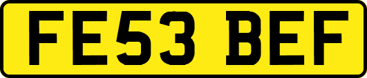 FE53BEF