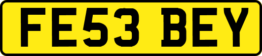 FE53BEY