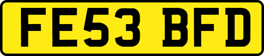 FE53BFD