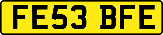 FE53BFE