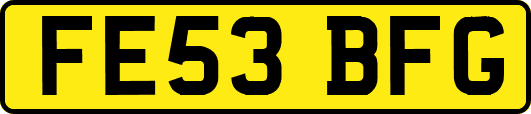 FE53BFG