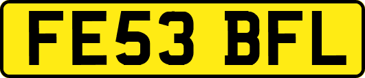FE53BFL