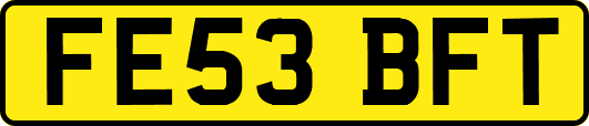 FE53BFT