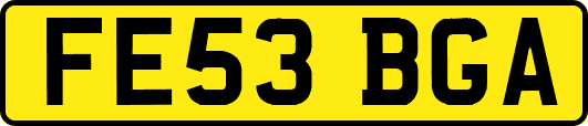 FE53BGA