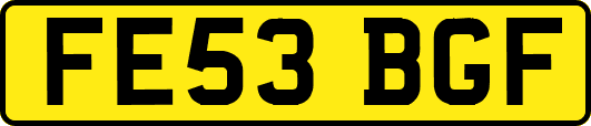 FE53BGF