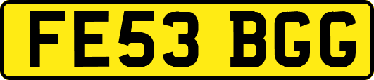 FE53BGG