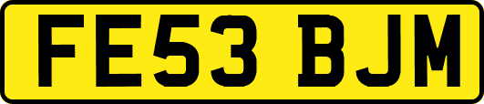 FE53BJM