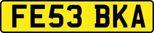 FE53BKA