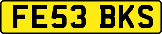 FE53BKS
