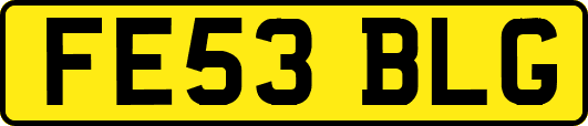 FE53BLG