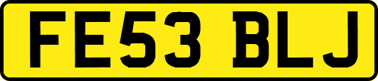 FE53BLJ