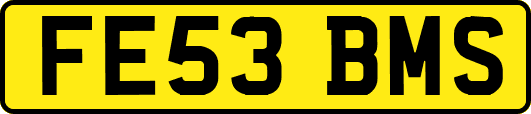 FE53BMS