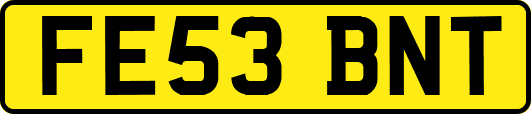 FE53BNT