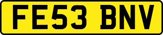 FE53BNV