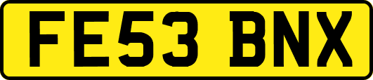 FE53BNX