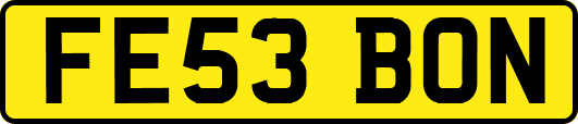 FE53BON