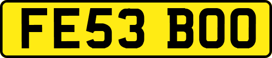 FE53BOO