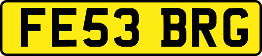FE53BRG