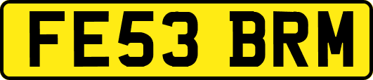 FE53BRM