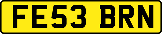 FE53BRN