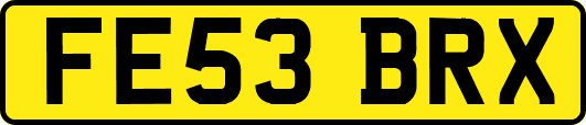FE53BRX