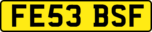FE53BSF