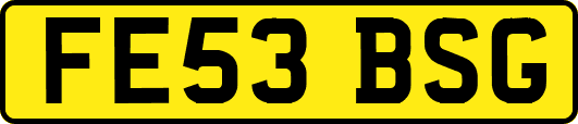 FE53BSG