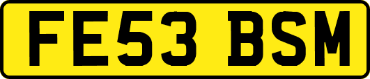 FE53BSM