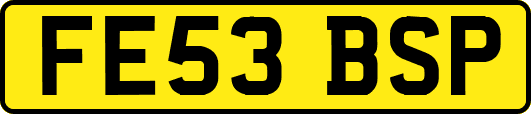 FE53BSP