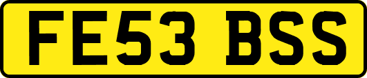 FE53BSS