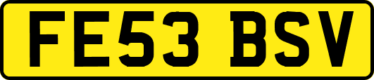 FE53BSV