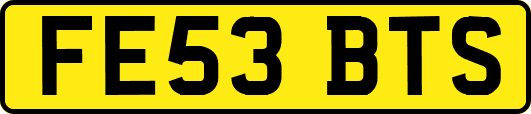 FE53BTS