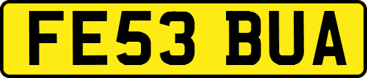 FE53BUA