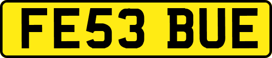 FE53BUE