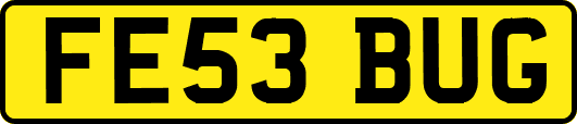 FE53BUG