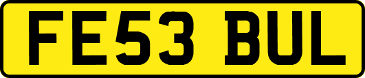 FE53BUL