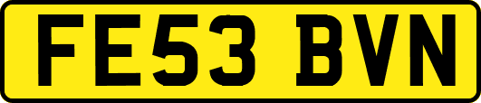 FE53BVN