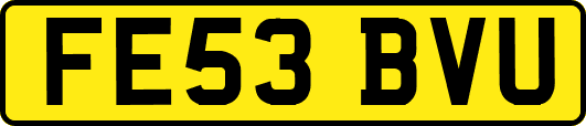 FE53BVU