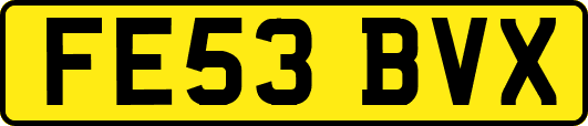 FE53BVX