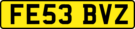 FE53BVZ